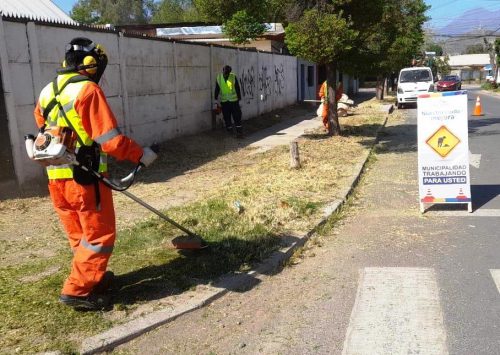 Iniciamos programa de desmalezado para prevenir incendios y cuidar el medio ambiente